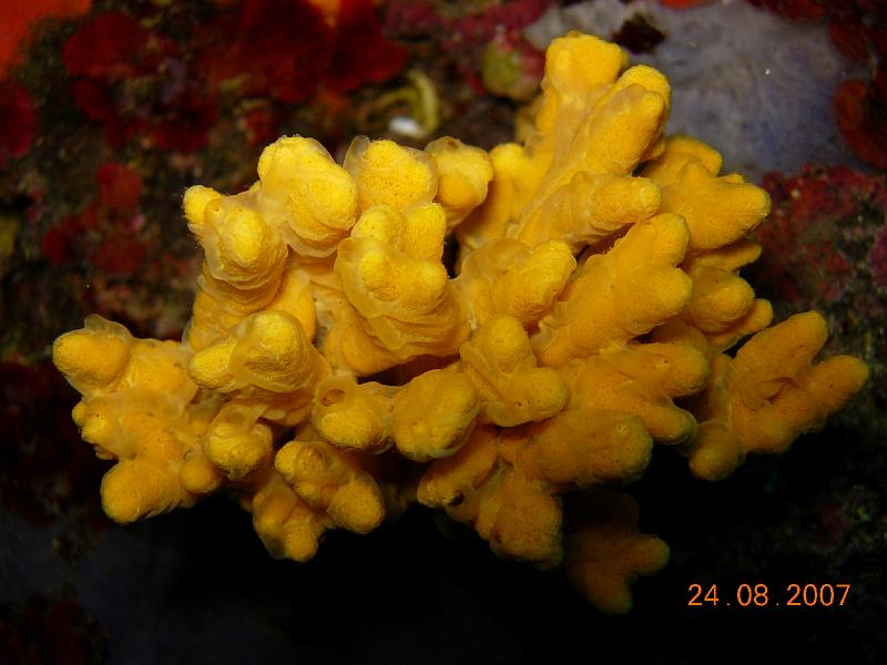 DSCN6041